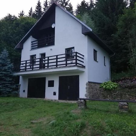 Chata Na Lipne Lipno nad Vltavou Ngoại thất bức ảnh